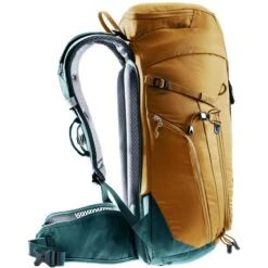 Deuter Trail 24 Wanderrucksack Almond-deepsea -DEU Geschaft deuter trail 24 wanderrucksack almond deepsea 1