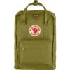 FJÄLLRÄVEN Fjällräven Kanken Laptop 13 Zoll Daypack Laptoprucksack Foliage Green 2 FJÄLLRÄVEN Fjällräven Kanken Laptop 13 Zoll Daypack Laptoprucksack Foliage Green -DEU Geschaft fjallraven kanken laptop 13 zoll daypack laptoprucksack foliage green