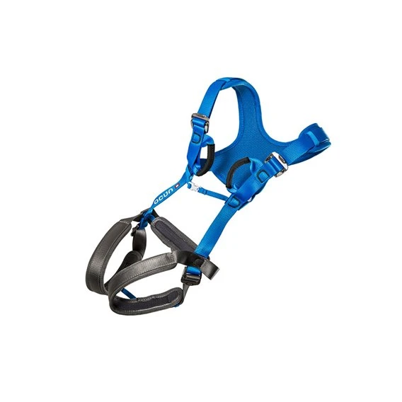 Ocun Doppler Kindergurt Gepolsterter Ganzkörper Klettergurt Blue 3 Ocun Doppler Kindergurt Gepolsterter Ganzkörper Klettergurt Blue