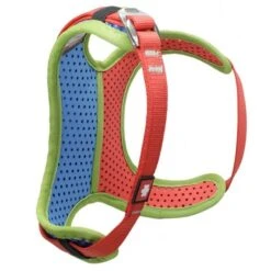 Ocun Webee Chest Kid Kinder Klettergurt Brustgurt